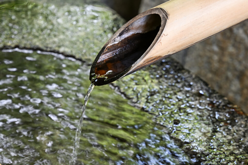 境内に湧く「染井の水」を、コーヒーや氷に使用